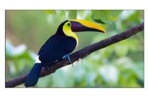  Фото видеостена 3x3 exell 55" expd-wa55ab35 - фото 3