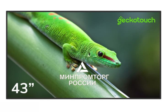 Изображение Профессиональный дисплей Geckotouch 43" 43DCR